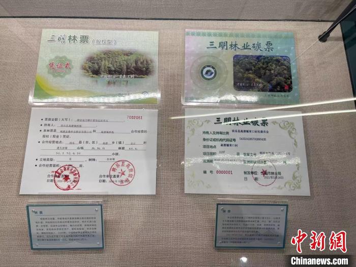 腾讯分分彩：（改革进行时）从全球最大碳市场起步走稳看中国“双碳”答卷